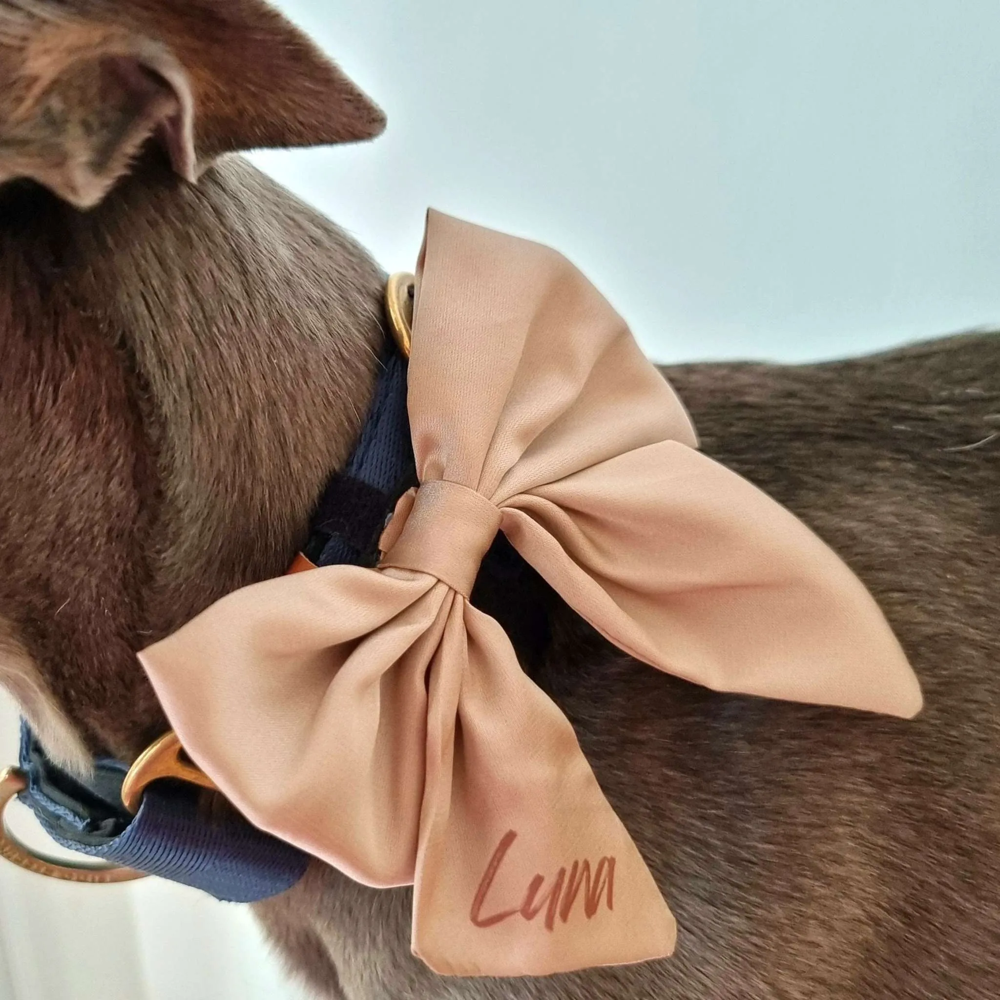 Dark green satin sailor dog bow tie