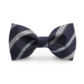 Men's Classic Navy Striped Business Bow Tie